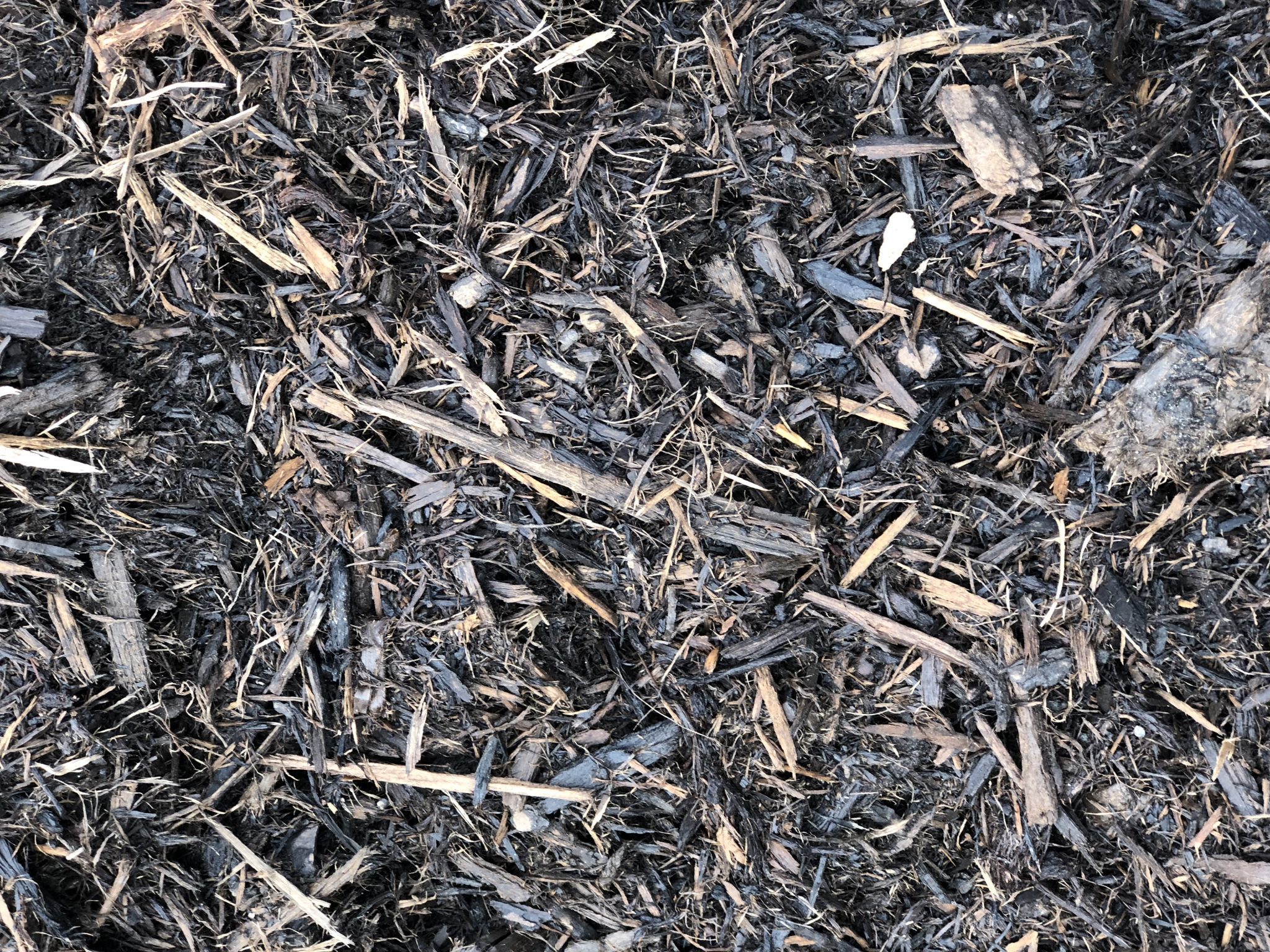 General Purpose Pine Mulch available in-store and online for pickup or delivery at Asheville Mulch in North Carolina