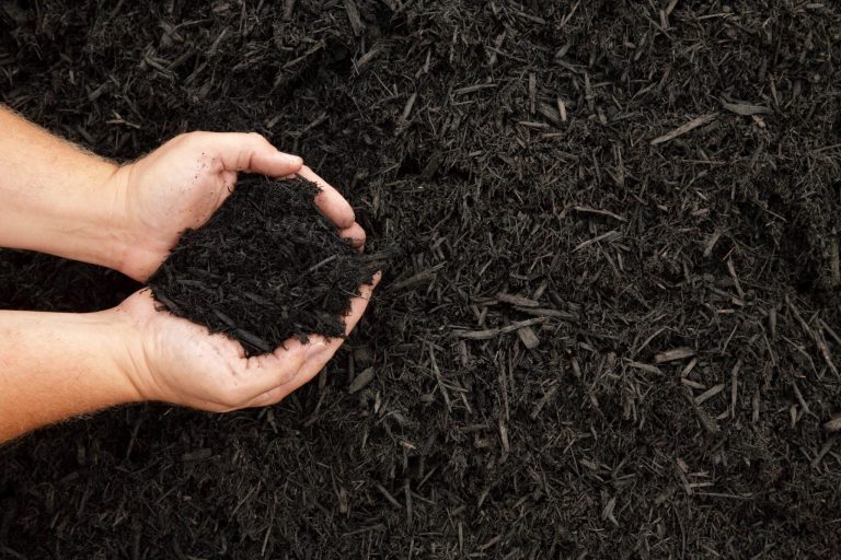 How to Choose the Right Mulch